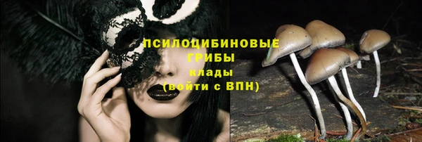 кокаин VHQ Каменногорск