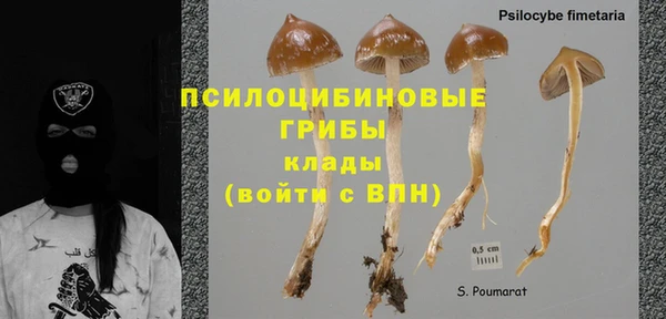 spice Каменка