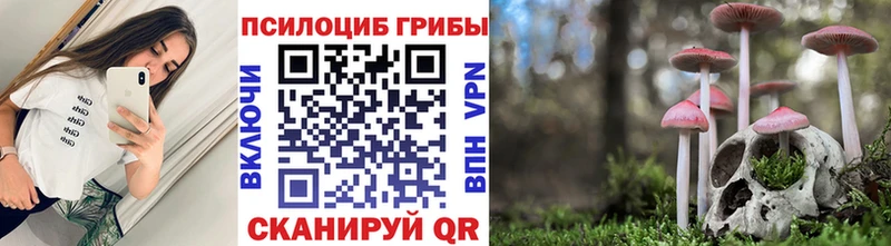 Галлюциногенные грибы Cubensis  Кстово 
