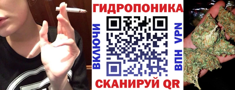 Конопля White Widow  где найти   Кстово 